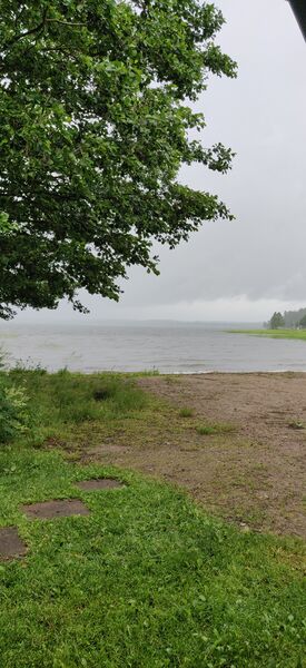Vesijärvi (14.241.1.001)-Valtakunnallinen sinileväseuranta (Pirppulan uimaranta)-ObsIMG-202007010742-21.jpg