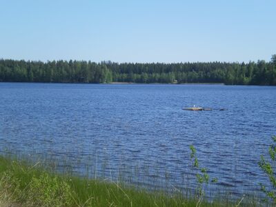 Hirvijärvi.JPG