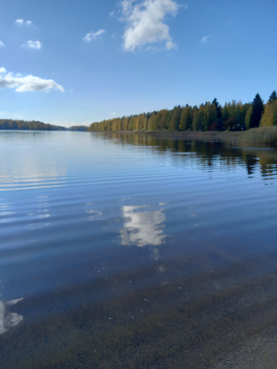 Ukonvesi (Saimaa) (04.151.1.001)-Valtakunnallinen sinileväseuranta (Launialan uimaranta)-ObsIMG-202109281242-6152e3ea30e6a.png