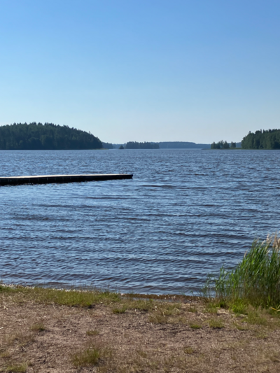 Loppijärvi (35.874.1.001)-Valtakunnallinen sinileväseuranta (Kirkonkylän uimaranta)-ObsIMG-202206280954-62baa5db9d3ed.png