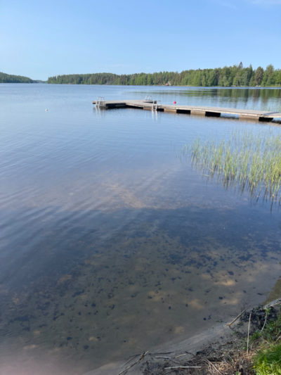 Pitkäjärvi (04.152.1.002)-Valtakunnallinen sinileväseuranta (Pitkäjärven uimaranta)-ObsIMG-202306141009-648967b265c18.png