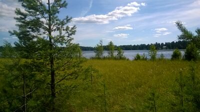 38työtjärvi.jpg