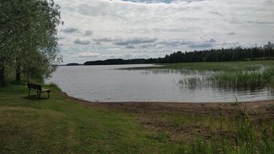 Haukivesi (Saimaa) (04.211.1.001)-Valtakunnallinen sinileväseuranta (Joroisselkä, venesataman uimaranta)-ObsIMG-201806261213-24.jpg