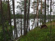 Huosiusjärvi (59.531.1.001)/Huosivirta