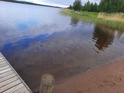 Haukivesi (Saimaa) (04.211.1.001)-Valtakunnallinen sinileväseuranta (Pieni Raudanvesi)-ObsALG-202306071850-6480bd3f0b306.png