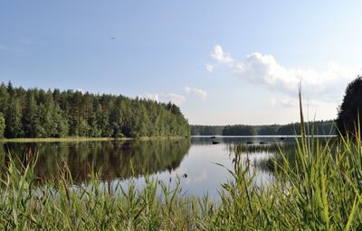 Vartusjärvi Kivisahinlahti.jpg