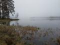 Hulkkianjärvi (11.006.1.014)-Havainnot-ObsIMG-202311051300-65477f6c7c2ee.png