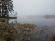Hulkkianjärvi (11.006.1.014)/Havainnot