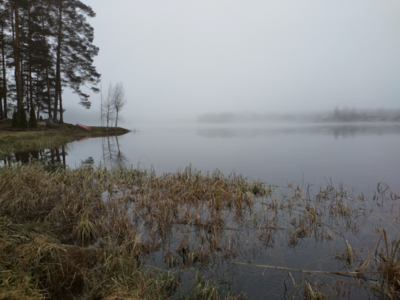 Hulkkianjärvi (11.006.1.014)-Havainnot-ObsIMG-202311051300-65477f6c7c2ee.png