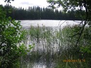 Pojanjärvi (21.033.1.008)/Polun pää