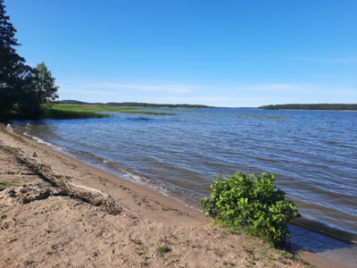 Vesijärvi (14.241.1.001)-Valtakunnallinen sinileväseuranta (Pirppulan uimaranta)-ObsIMG-202106160835-60c98fb096151.png