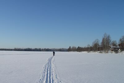 Mannilanjärvi 2009.jpg