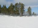 Juojärvi (04.711.1.004)/Pääskysaari