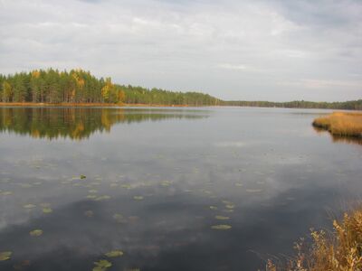 Patanajärvi.JPG