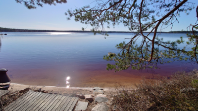 Kovesjärvi (35.554.1.001)-Havaintopaikka 1-ObsICE-202104171022-607a8dca1ecf9.png
