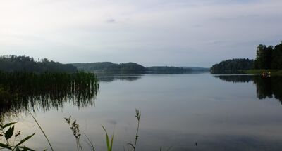 Ylisjärvi3.jpg