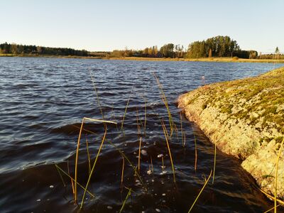 Hulkkianjärvi (11.006.1.014)-Havainnot-ObsIMG-201810041715-3.jpg