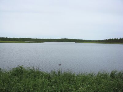 Rosinjärvi.JPG