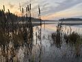 Hulkkianjärvi (11.006.1.014)-Havainnot-ObsIMG-201911031600-37.jpeg