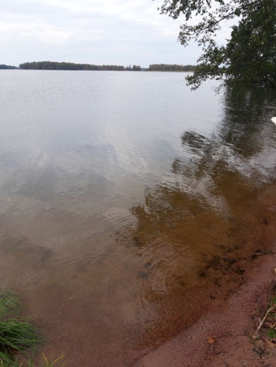 Köyliönjärvi (34.054.1.001)-Valtakunnallinen sinileväseuranta (Yttilän Otta)-ObsALG-202309271537-6514223294b7b.png