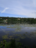 Iidesjärvi (35.214.1.001)-Iidesjärven luusua-ObsIMG-202206101407-62a326cbbc8f1.png