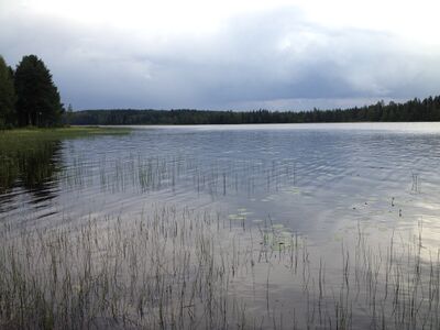 Hangasjärvi1.jpg