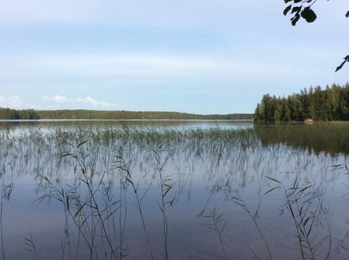 Ounionjärvi1.jpg