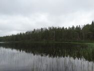 Hossanjärvi (59.522.1.001)/Nurmiselkä2